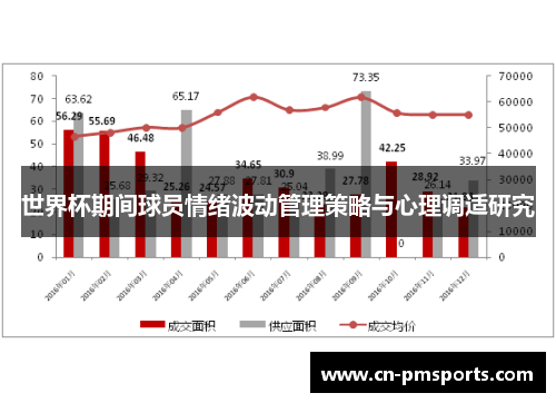 世界杯期间球员情绪波动管理策略与心理调适研究