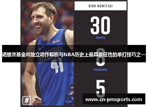 诺维茨基金鸡独立动作解析与NBA历史上最具象征性的单打技巧之一