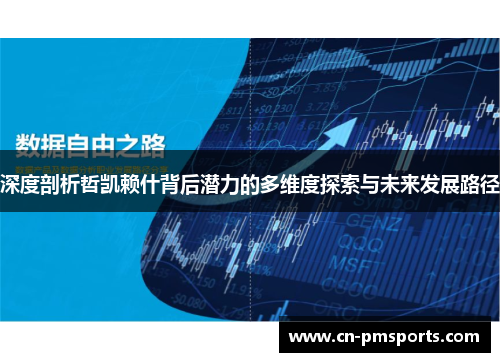 深度剖析哲凯赖什背后潜力的多维度探索与未来发展路径