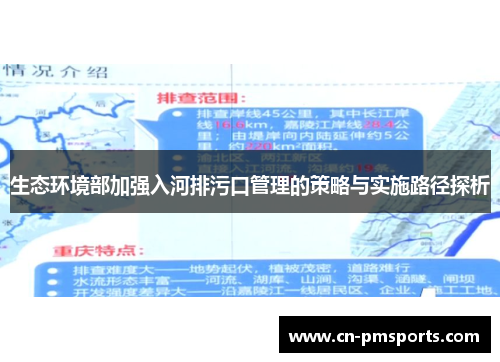 生态环境部加强入河排污口管理的策略与实施路径探析
