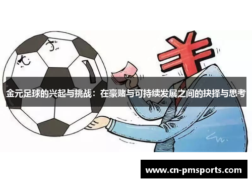 金元足球的兴起与挑战：在豪赌与可持续发展之间的抉择与思考