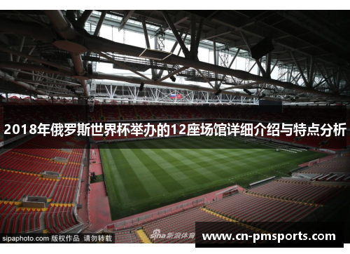 2018年俄罗斯世界杯举办的12座场馆详细介绍与特点分析