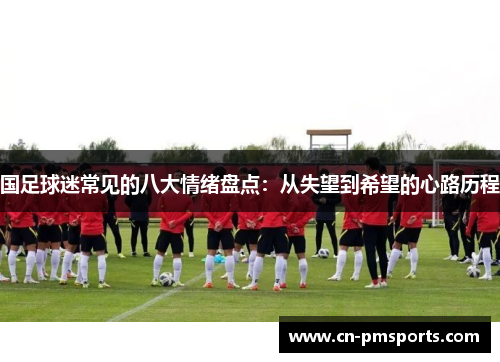 国足球迷常见的八大情绪盘点：从失望到希望的心路历程