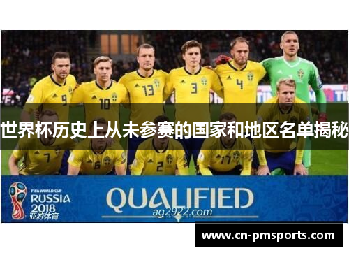 世界杯历史上从未参赛的国家和地区名单揭秘