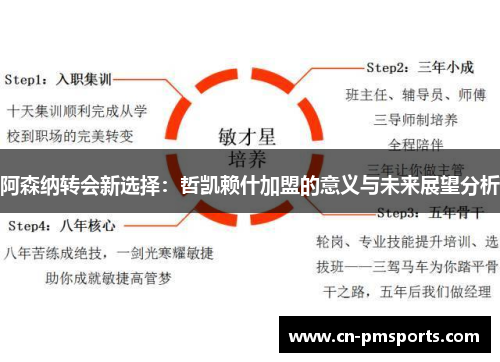 阿森纳转会新选择：哲凯赖什加盟的意义与未来展望分析