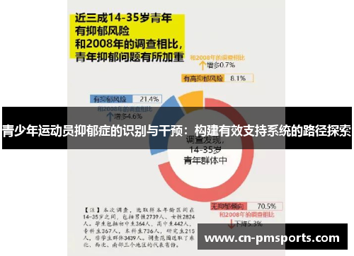青少年运动员抑郁症的识别与干预：构建有效支持系统的路径探索